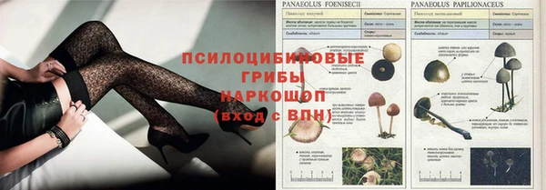 прущие крисы Гусь-Хрустальный