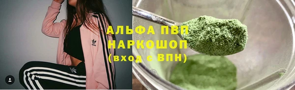 spice Гусев