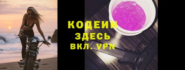 spice Гусев