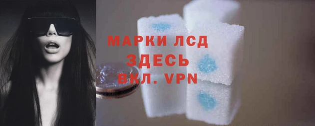 амф Гусиноозёрск