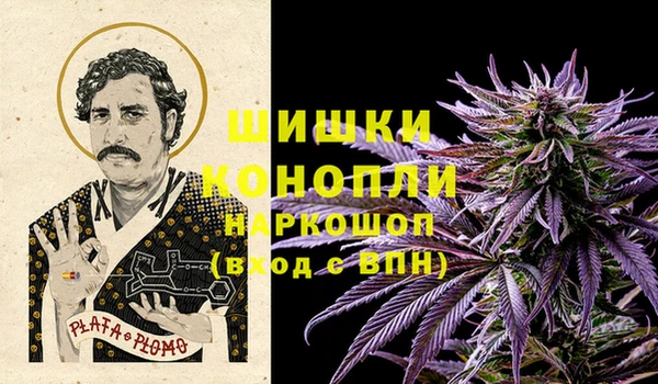 амф Гусиноозёрск