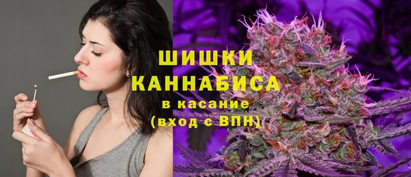 spice Гусев