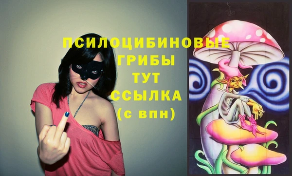 прущие крисы Гусь-Хрустальный