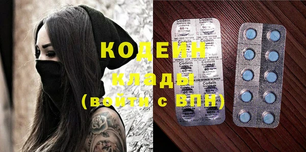 spice Гусев