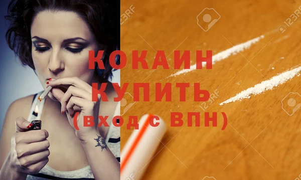 spice Гусев