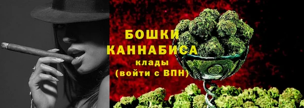 амф Гусиноозёрск