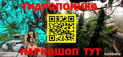 прущие грибы Бийск