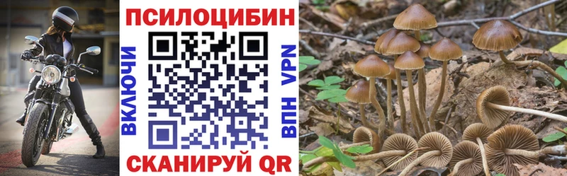 маркетплейс наркотические препараты  Добрянка  Псилоцибиновые грибы MAGIC MUSHROOMS 