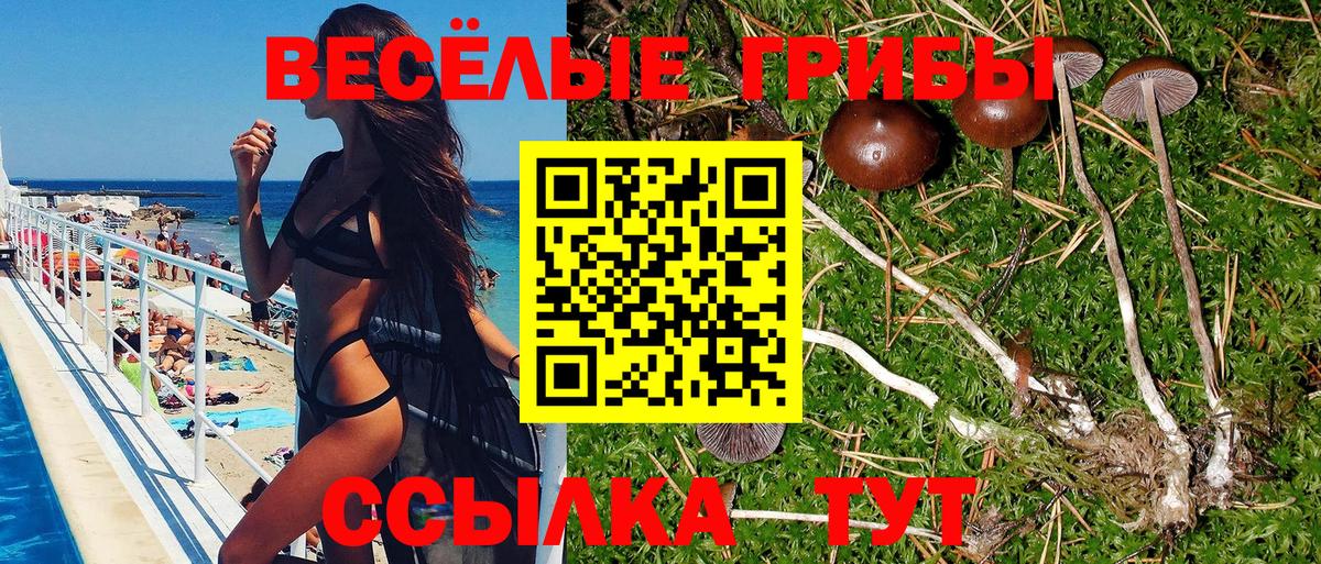 Галлюциногенные грибы Magic Shrooms Добрянка