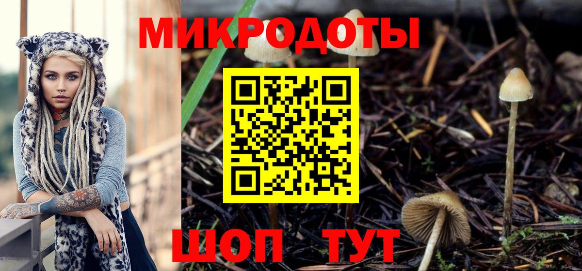 Галлюциногенные грибы мухоморы  Добрянка  Галлюциногенные грибы Magic Shrooms 